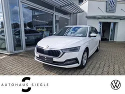 Weiß Gebraucht 2020 Skoda Octavia First Edition Kombi | 19.480 € (Etwas zu teuer)