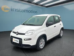 Weiß Neu 2024 Fiat Panda Kleinwagen | 12.499 € (Superpreis)