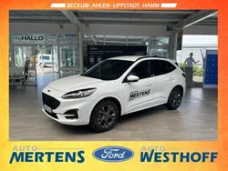 Weiß Gebraucht 2023 Ford Kuga ST-Line X SUV | 30.990 € (Fairer Preis)