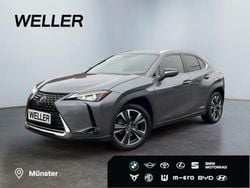 Andere Gebraucht 2021 Lexus UX SUV | 27.490 € (Etwas zu teuer)
