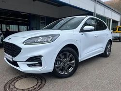 Frostweiß Gebraucht 2021 Ford Kuga ST-Line X SUV | 24.000 € (Fairer Preis)