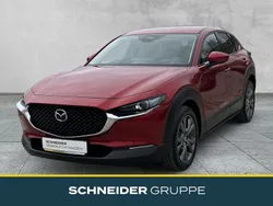 Rot Gebraucht 2023 Mazda CX-30 Exclusive-Line SUV | 29.890 € (Etwas zu teuer)