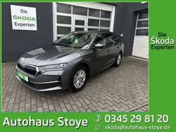Grau Neu 2025 Skoda Octavia Selection Kombi | 35.350 € (Guter Preis)