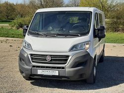 Weiß Gebraucht 2016 Fiat Ducato Van | 6.480 € (Etwas zu teuer)