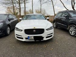 Weiß Gebraucht 2015 Jaguar XE Portfolio Limousine | 14.000 € (Fairer Preis)