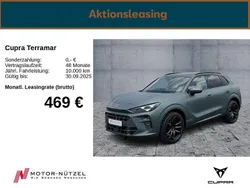 Grau Gebraucht 2025 Cupra Terramar Limited Edition SUV | 47.890 € (Fairer Preis)