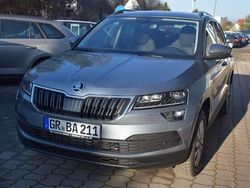 Grau Gebraucht 2019 Skoda Karoq Style SUV | 24.990 € (Etwas zu teuer)
