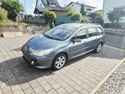 Grau Gebraucht 2006 Peugeot 307 Filou Kombi | 3.450 € (Etwas zu teuer)