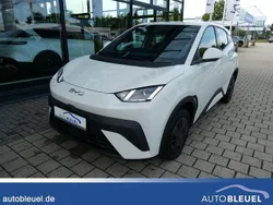 Apricity white Neu 2025 BYD Dolphin Active Kleinwagen | 22.950 € (Fairer Preis)
