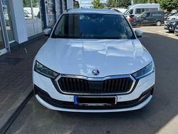 Weiß Gebraucht 2022 Skoda Octavia Style Kombi | 19.300 € (Guter Preis)