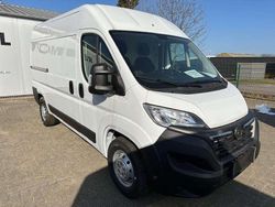 Casablanca weiß Gebraucht 2024 Opel Movano Edition Van | 37.390 € (Teuer)