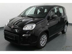 Schwarz Gebraucht 2022 Fiat Panda Kleinwagen | 12.499 €
