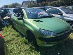 Grün Gebraucht 2002 Peugeot 206 CC Platinum Cabrio | 1.488 € (Guter Preis)