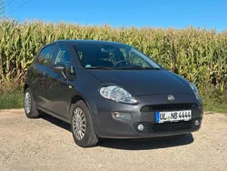 Grau Gebraucht 2017 Fiat Punto Kleinwagen | 5.800 € (Fairer Preis)