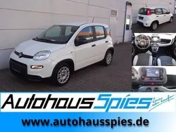 Weiß Gebraucht 2023 Fiat Panda Kleinwagen | 11.990 € (Fairer Preis)