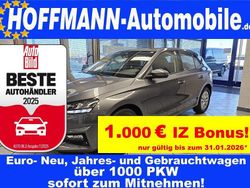 Grau Neu 2025 Skoda Fabia Selection Limousine | 19.650 € (Guter Preis)