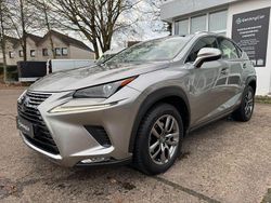 Grau Gebraucht 2020 Lexus NX300h Business Edition SUV | 25.990 € (Fairer Preis)