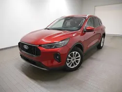 Lucidrot metallic Gebraucht 2024 Ford Kuga Titanium SUV | 26.880 € (Guter Preis)