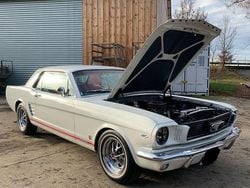 Weiß Gebraucht 1965 Ford Mustang Coupé | 19.999 €