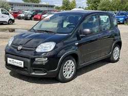 Schwarz Gebraucht 2024 Fiat Panda Kleinwagen | 14.689 € (Fairer Preis)