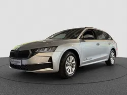 Grau Gebraucht 2025 Skoda Octavia Selection Kombi | 31.390 € (Guter Preis)