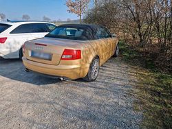 Gelb Gebraucht 2025 Audi A4 Cabrio | 4.200 €