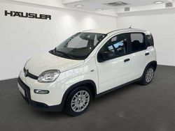 Weiß Gebraucht 2024 Fiat Panda Kleinwagen | 13.990 € (Fairer Preis)