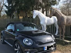 Schwarz Gebraucht 2017 VW Beetle Exclusive Cabrio | 17.500 € (Fairer Preis)