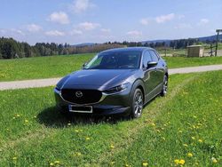 Grau Gebraucht 2019 Mazda CX-30 Selection SUV | 24.200 € (Fairer Preis)