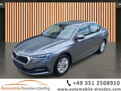 Grau Gebraucht 2023 Skoda Octavia Ambition Limousine | 18.980 € (Guter Preis)