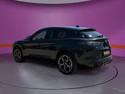 Grau Gebraucht 2024 Alfa Romeo Stelvio Veloce SUV | 38.830 € (Superpreis)