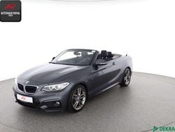 Grau Gebraucht 2015 BMW 220 M Sport Cabrio | 18.880 € (Guter Preis)