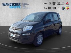 Schwarzandere Neu 2025 Fiat Panda Icon Kleinwagen | 14.930 € (Fairer Preis)