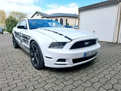Weiß Gebraucht 2013 Ford Mustang Coupé | 11.000 € (Superpreis)