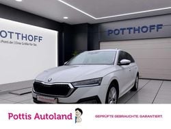 Weiß Gebraucht 2023 Skoda Octavia Style Kombi | 19.557 € (Guter Preis)