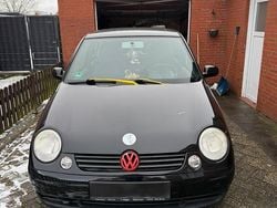 Schwarz Gebraucht 2001 VW Lupo Kleinwagen | 999 € (Fairer Preis)