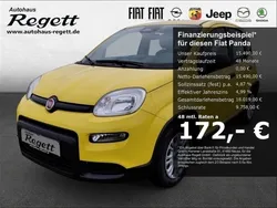 Gelb Neu 2024 Fiat Panda Kleinwagen | 15.490 €