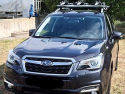 Grau Gebraucht 2019 Subaru Forester Comfort SUV | 24.000 € (Fairer Preis)
