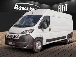 Weiss (pastell)) (weiss Neu 2025 Fiat Ducato Van | 36.780 € (Fairer Preis)