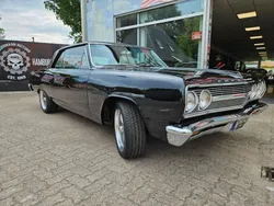 Schwarz Gebraucht 1965 Chevrolet Chevelle Coupé | 43.999 €