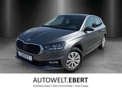 Graphitegrau Gebraucht 2024 Skoda Fabia Selection Limousine | 19.980 € (Fairer Preis)