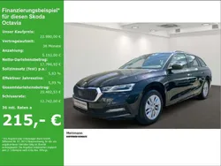 Schwarz Gebraucht 2022 Skoda Octavia Ambition Kombi | 21.980 € (Guter Preis)