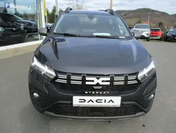 Grau Gebraucht 2023 Dacia Sandero Expression Kleinwagen | 18.299 € (Etwas zu teuer)