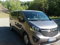 Grau Gebraucht 2018 Opel Vivaro Van | 19.000 €
