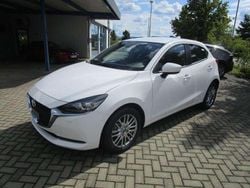 Arctic white Gebraucht 2020 Mazda 2 Kizoku Kleinwagen | 12.000 € (Fairer Preis)