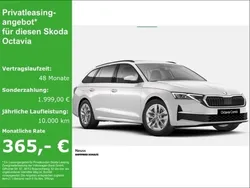 Weiß Neu 2025 Skoda Octavia Selection Kombi | 41.980 €