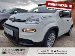 Weiss Gebraucht 2024 Fiat Panda Kleinwagen | 13.950 € (Fairer Preis)