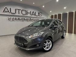 Grau Gebraucht 2017 Ford Fiesta Titanium Kleinwagen | 7.990 € (Guter Preis)