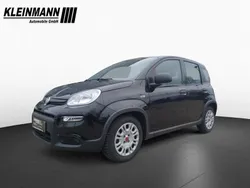 Cinema schwarz Gebraucht 2023 Fiat Panda Kleinwagen | 10.890 € (Guter Preis)