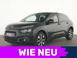 Schwarz Gebraucht 2019 Citroën C4 Cactus Shine Kleinwagen | 12.475 € (Fairer Preis)